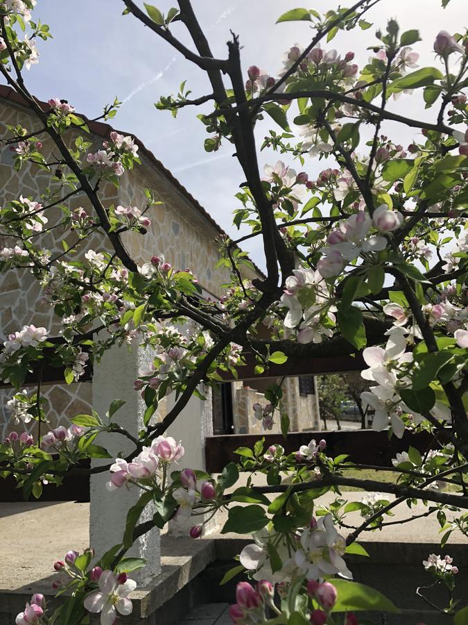 Holiday Home Ivana เวียร์ปาซาร์ ภายนอก รูปภาพ